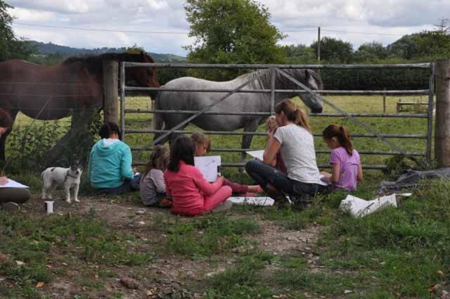 Mid Wales Arts B&B Caersws Екстер'єр фото