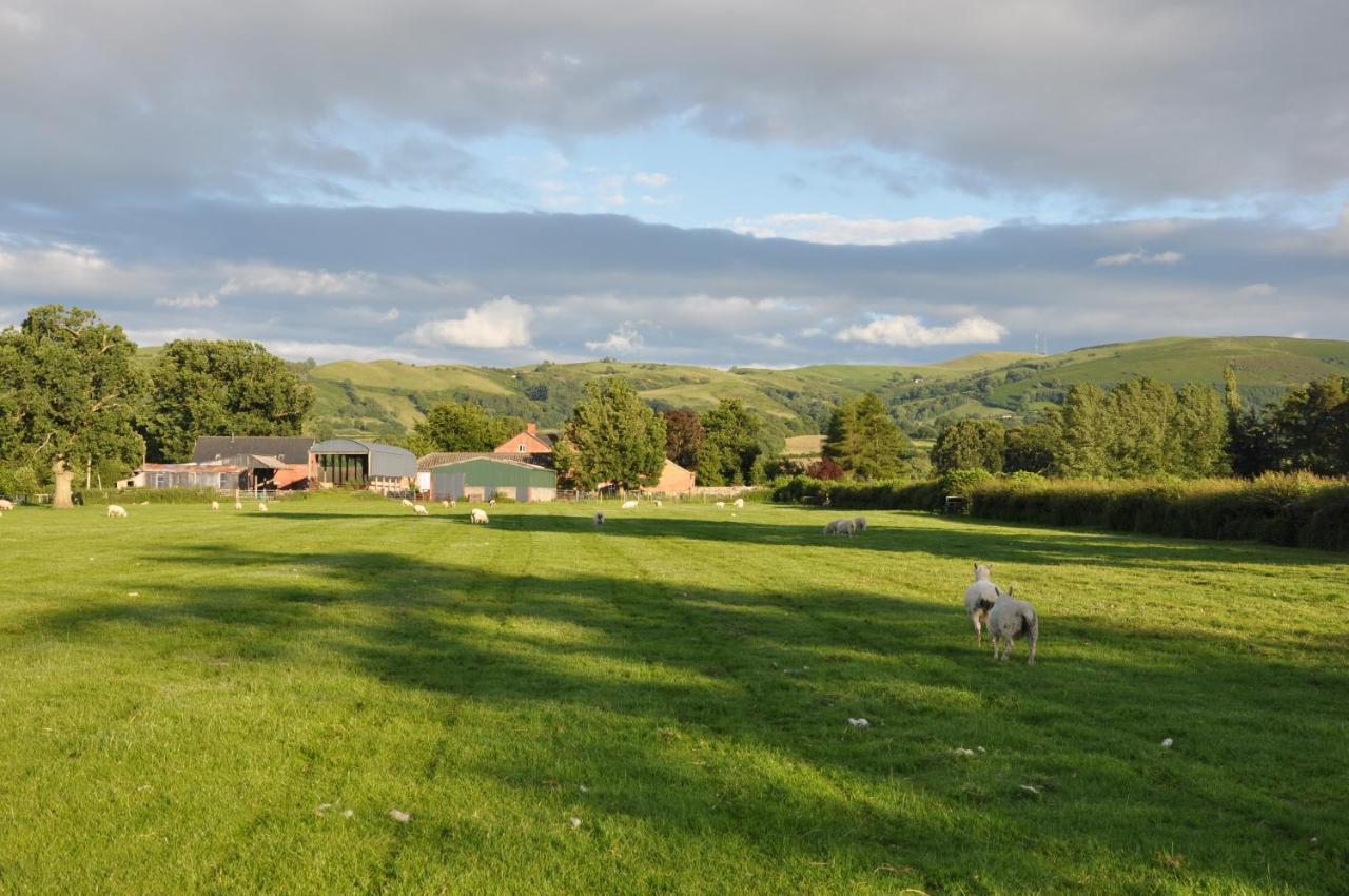 Mid Wales Arts B&B Caersws Екстер'єр фото